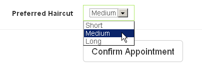 Client Confirms Appointment With Custom Fields